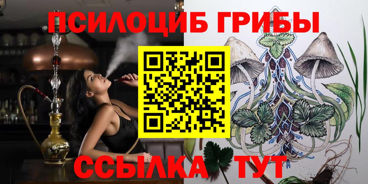 Псилоцибиновые грибы мицелий Саров